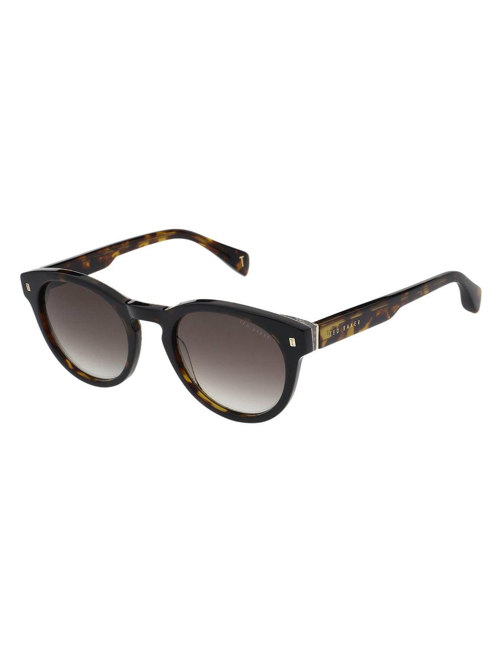 Ted Baker DAX - Round Chunky Temple Sonnenbrille Herren Braun | VNHBI-8694