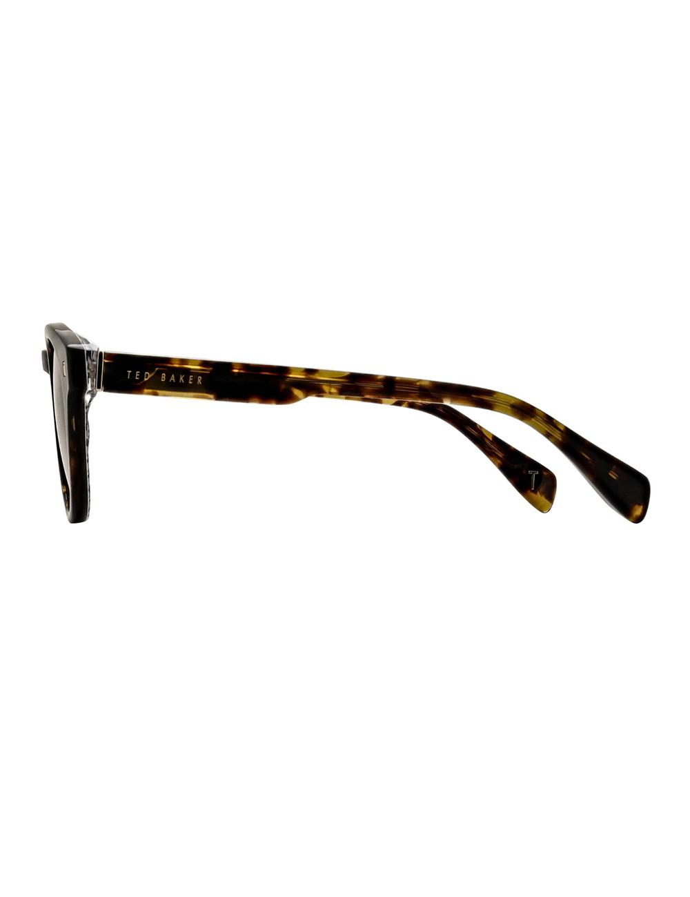 Ted Baker DAX - Round Chunky Temple Sonnenbrille Herren Braun | VNHBI-8694