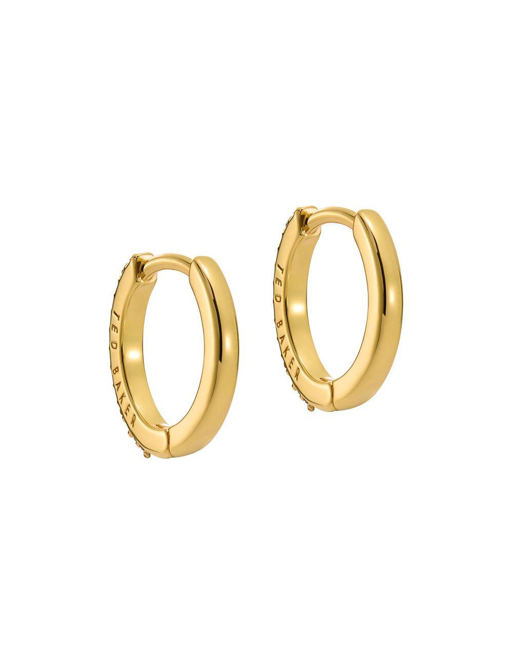 Ted Baker HEPLIE - Crystal Huggie Hoop Ohrringe Damen Multicol | ITECO-1963