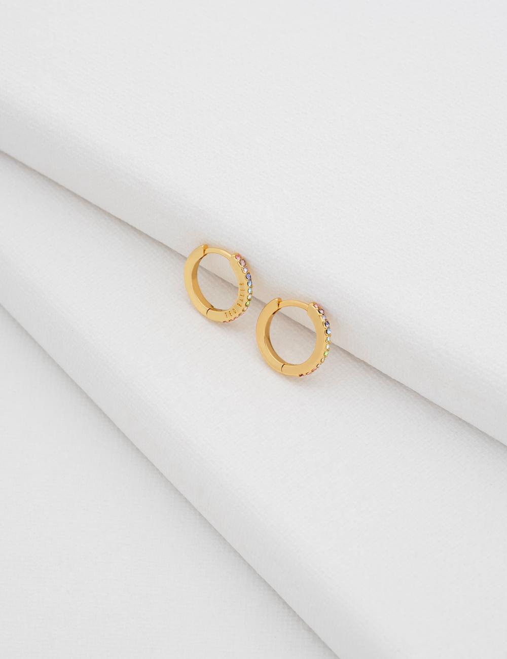 Ted Baker HEPLIE - Crystal Huggie Hoop Ohrringe Damen Multicol | ITECO-1963
