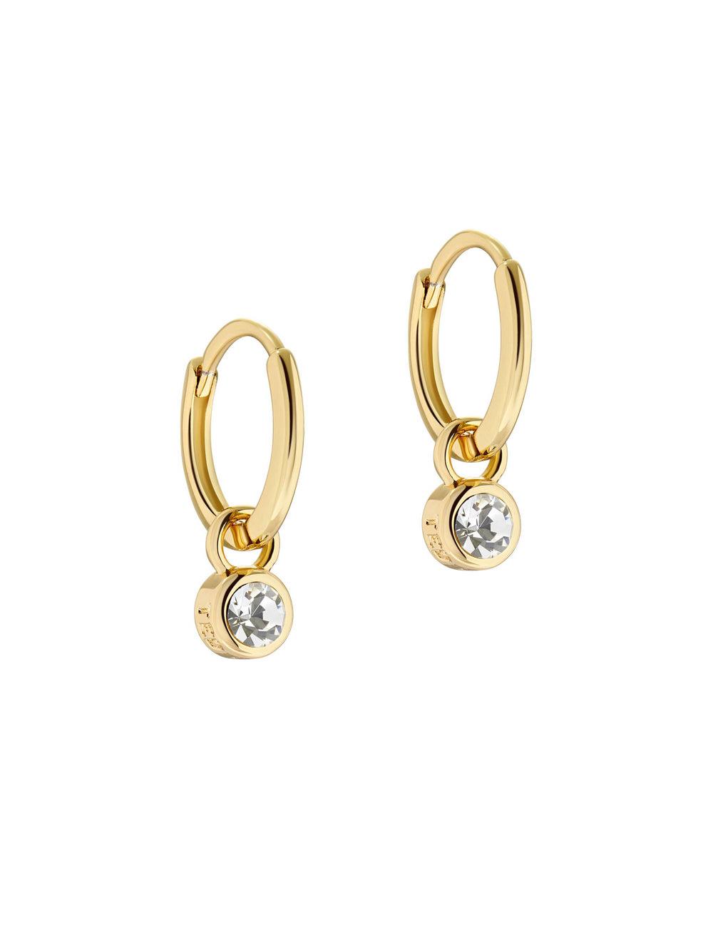 Ted Baker SINALAA - Crystal Pendant Huggie Ohrringe Damen Gold | PVIEN-7603